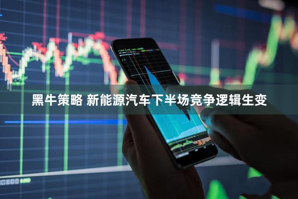 黑牛策略 新能源汽车下半场竞争逻辑生变