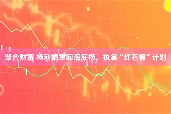聚合财富 杨利娟重回海底捞，执掌“红石榴”计划